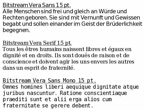As a result of this agreement the Vera font family consisting of ten font